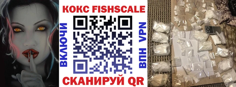 COCAIN FishScale  Купить закладки  Гагарин 