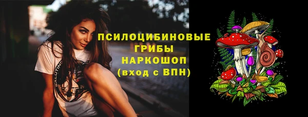 МДПВ Михайловск
