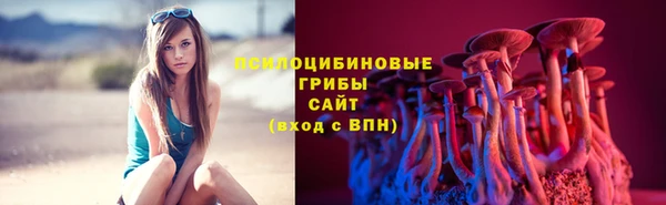 МДПВ Михайловск