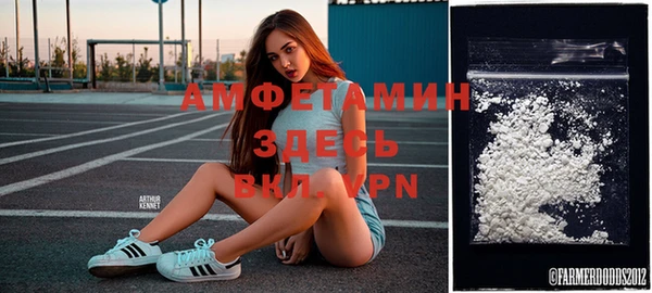 spice Михайлов