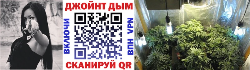 Купить закладки  Гагарин  Конопля план 